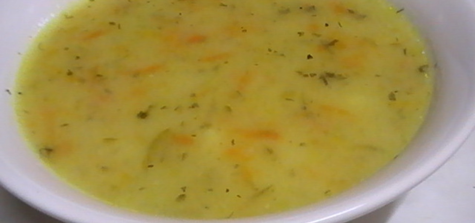 Zupa ogórkowa (autor: halina17)