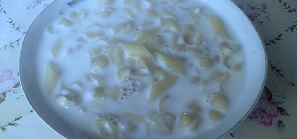 Zupa mleczna z makaronem (autor: justyna70)