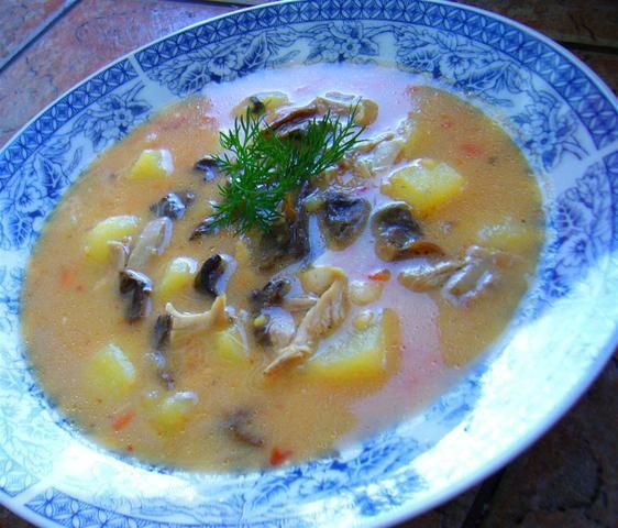 Przepis  zupa ogonowa z grzybami suszonymi przepis