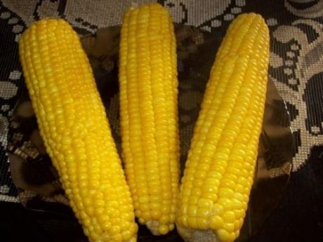 Przepis  kukurydza cukrowa przepis