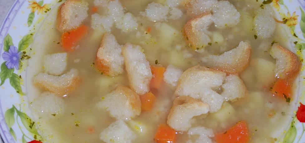 Zupa porowa na rosole (autor: motomaniak)