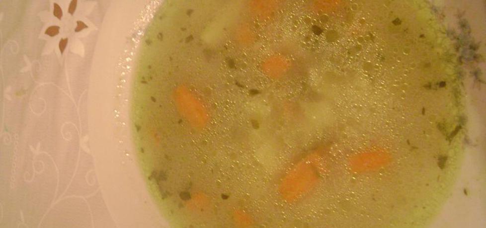 Zupa ogórkowa (autor: agnieszka172)