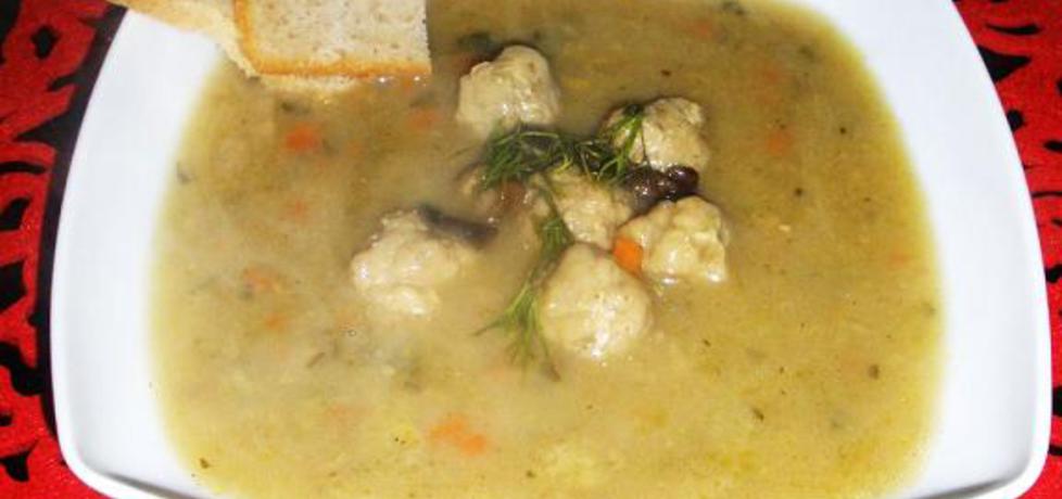 Zupa grzybowa z pulpecikami (autor: rutynka)