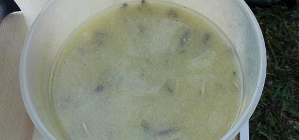 Zupa pieczarkowa na biwaku (autor: kasnaj)