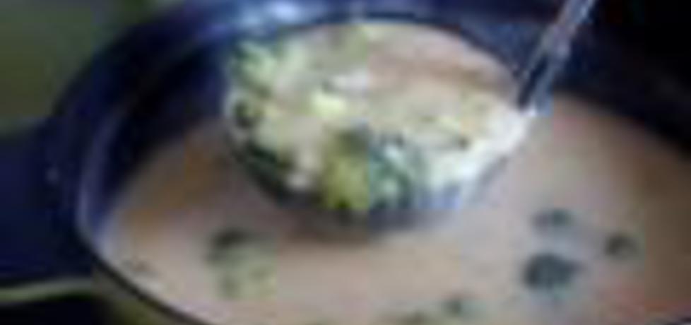 Zupa serowa z brokułami (autor: arlanna)