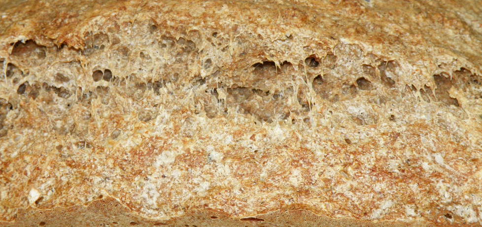 Chleb mieszany na ciemnym piwie (autor: habibi)