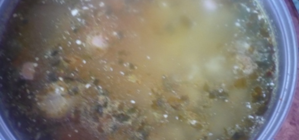 Zupa z kiszonych ogórków (autor: dianix)
