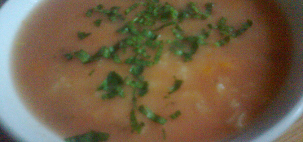 Tradycyjna zupa pomidorowa z ryżem (autor: ania59 ...