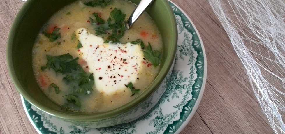 Wiosenna zupa warzywna (autor: hrabina-w