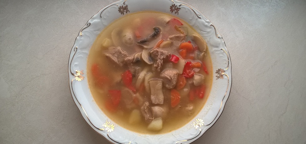 Zupa gulaszowa z pieczarkami i warzywami (autor: ania321 ...