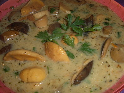 Tradycyjna zupa borowikowa