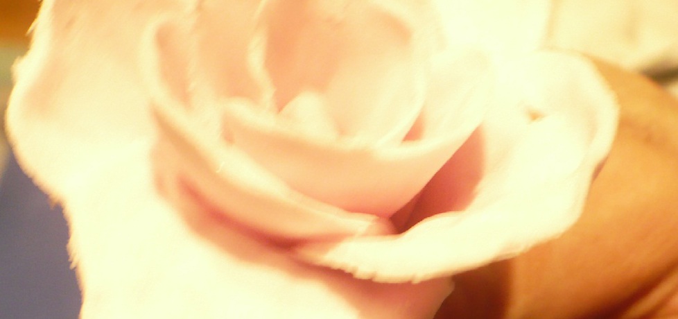 Róże z masy cukrowej (autor: senninha)