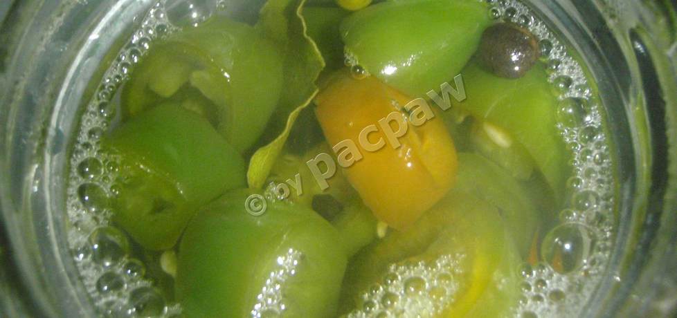 Papryczka jalapeno – marynowane plasterki (autor: pacpaw ...