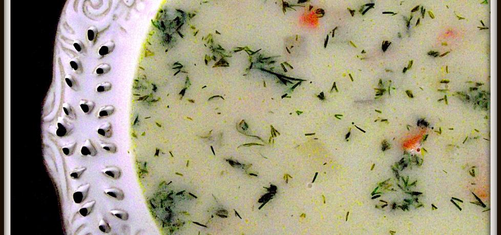 Zupa koperkowa z warzywami i czosnkiem (autor: mancia-w