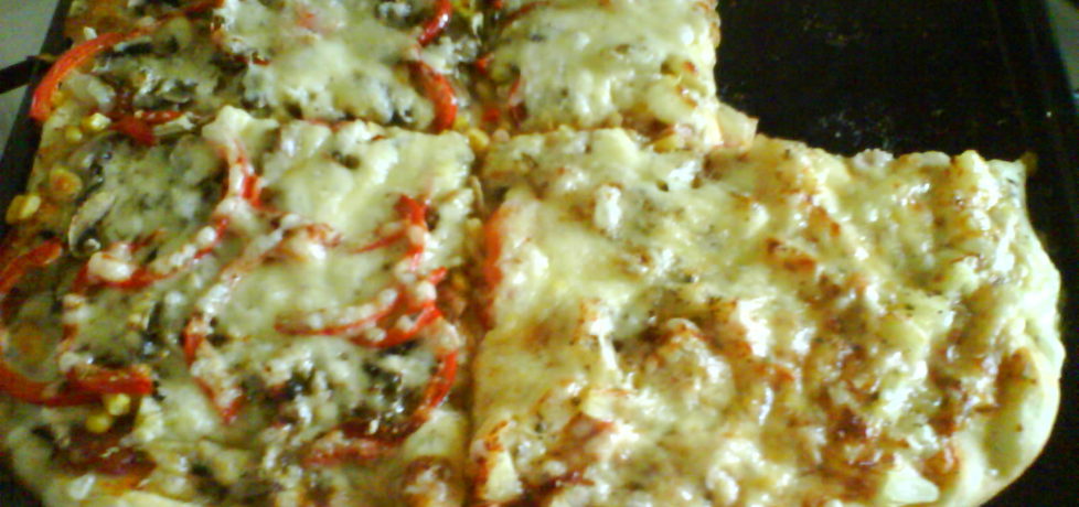 Mega pizza (autor: agano)