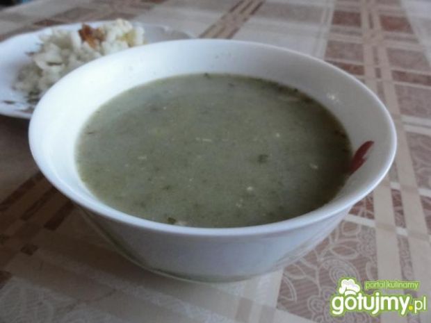 Smaczne przepisy na: zupa szczawiowa. gotujmy.pl