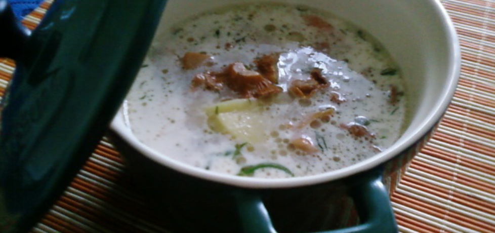 Zupa z kurkami. (autor: benka)