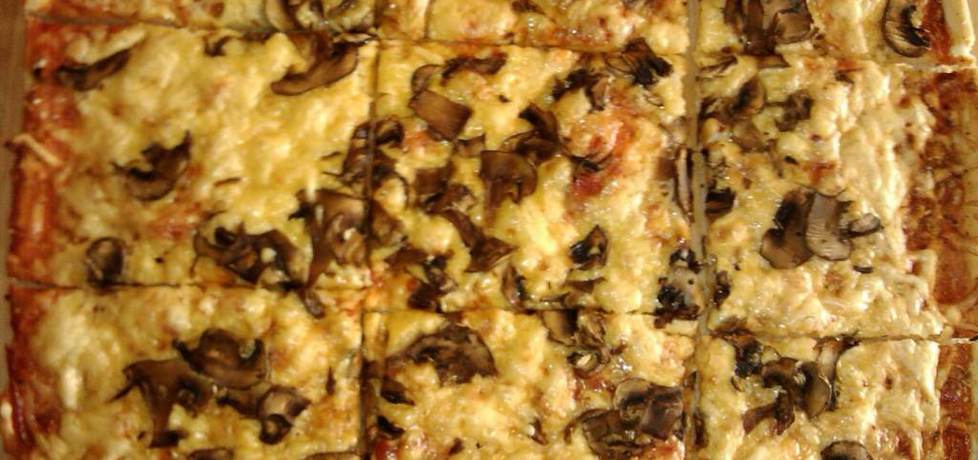 Pizza z podwójnym serem i pieczarkami pieczonymi (autor: gracer ...