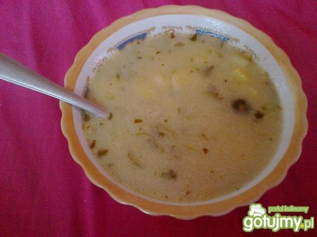 Przepis  zupa ogórkowa wg smakowitej przepis