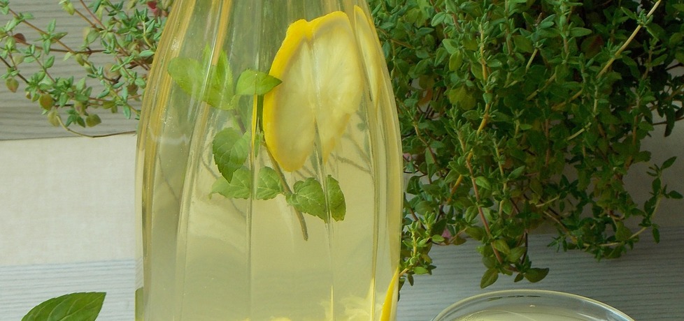 Lemoniada cytrynowo  miętowa (autor: mniam)