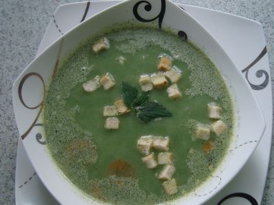 Zupa krem z pokrzyw z grzankami czosnkowymi