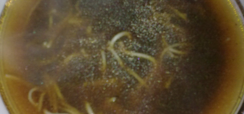 Zupa grzybowa basi (autor: smakosz6)