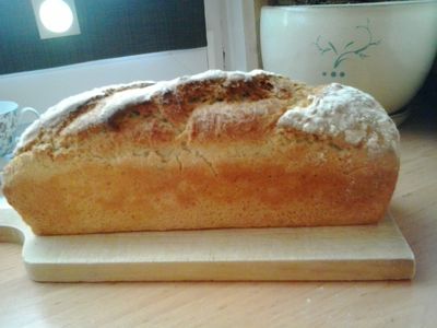 Chleb pszenny (najprostszy)